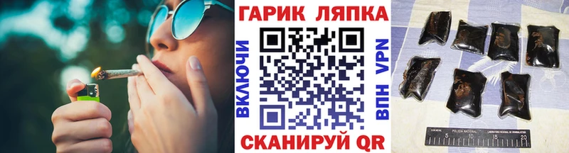 ГАШ VHQ Лодейное Поле