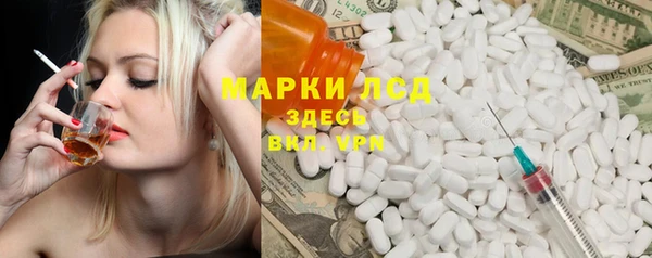 прущие грибы Кулебаки