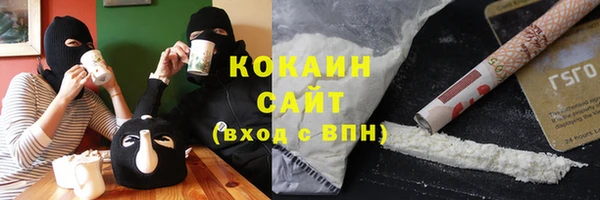 прущие грибы Кулебаки