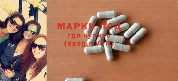 прущие грибы Кулебаки