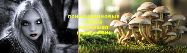 Альфа ПВП Краснослободск