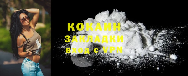прущие грибы Кулебаки