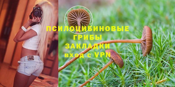 гидропоника Красноперекопск