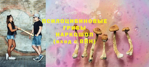 прущие грибы Кулебаки