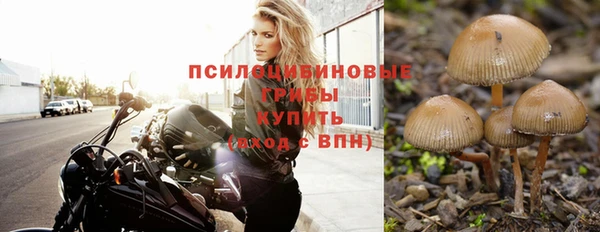 прущие грибы Кулебаки