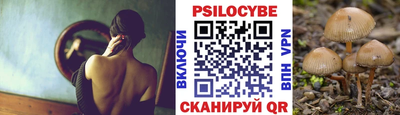 где купить наркотик  Лодейное Поле  Псилоцибиновые грибы прущие грибы 